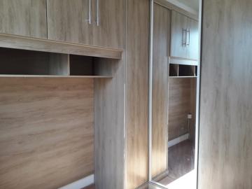 Alugar Apartamento / Padr&atilde;o em S&atilde;o Jos&eacute; do Rio Preto R$ 850,00 - Foto 8