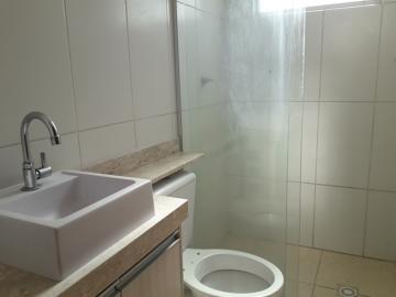 Alugar Apartamento / Padr&atilde;o em S&atilde;o Jos&eacute; do Rio Preto R$ 850,00 - Foto 10