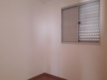 Alugar Apartamento / Padr&atilde;o em S&atilde;o Jos&eacute; do Rio Preto R$ 850,00 - Foto 9