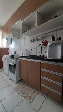Comprar Apartamento / Padr&atilde;o em S&atilde;o Jos&eacute; do Rio Preto R$ 250.000,00 - Foto 9