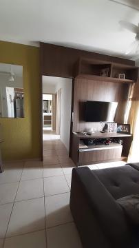 Alugar Apartamento / Padr&atilde;o em S&atilde;o Jos&eacute; do Rio Preto. apenas R$ 250.000,00