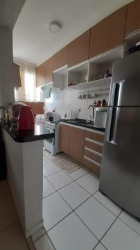 Comprar Apartamento / Padr&atilde;o em S&atilde;o Jos&eacute; do Rio Preto R$ 250.000,00 - Foto 10
