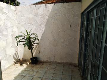 Alugar Casa / Padr&atilde;o em S&atilde;o Jos&eacute; do Rio Preto R$ 1.700,00 - Foto 4
