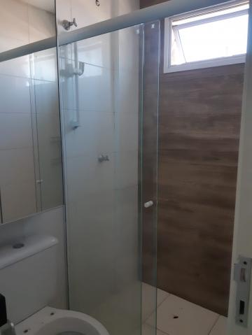 Alugar Apartamento / Cobertura em S&atilde;o Jos&eacute; do Rio Preto R$ 3.400,00 - Foto 20