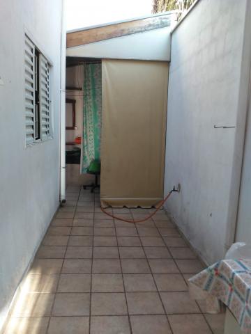 Comprar Casa / Padr&atilde;o em S&atilde;o Jos&eacute; do Rio Preto R$ 700.000,00 - Foto 12