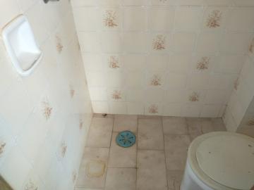 Alugar Apartamento / Padr&atilde;o em S&atilde;o Jos&eacute; do Rio Preto R$ 700,00 - Foto 3