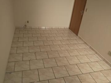 Alugar Apartamento / Padr&atilde;o em S&atilde;o Jos&eacute; do Rio Preto R$ 700,00 - Foto 6
