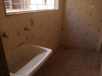 Alugar Apartamento / Padr&atilde;o em S&atilde;o Jos&eacute; do Rio Preto R$ 700,00 - Foto 10