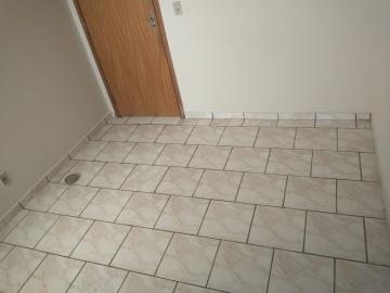 Alugar Apartamento / Padr&atilde;o em S&atilde;o Jos&eacute; do Rio Preto R$ 700,00 - Foto 7