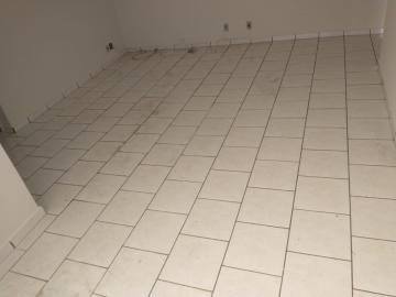 Alugar Apartamento / Padr&atilde;o em S&atilde;o Jos&eacute; do Rio Preto R$ 700,00 - Foto 8