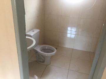 Alugar Rural / Ch&aacute;cara em S&atilde;o Jos&eacute; do Rio Preto R$ 700,00 - Foto 9