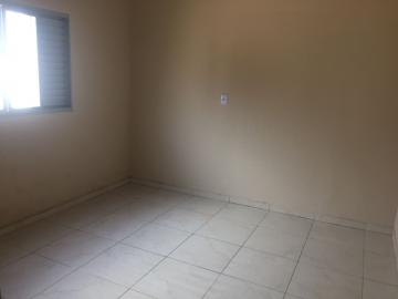 Alugar Rural / Ch&aacute;cara em S&atilde;o Jos&eacute; do Rio Preto R$ 700,00 - Foto 7