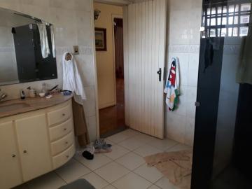 Alugar Casa / Sobrado em S&atilde;o Jos&eacute; do Rio Preto R$ 4.000,00 - Foto 28