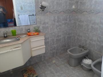 Alugar Casa / Sobrado em S&atilde;o Jos&eacute; do Rio Preto R$ 4.000,00 - Foto 39