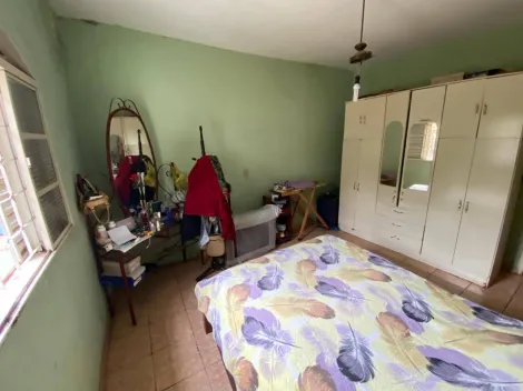 Alugar Casa / Padr&atilde;o em S&atilde;o Jos&eacute; do Rio Preto R$ 800,00 - Foto 8
