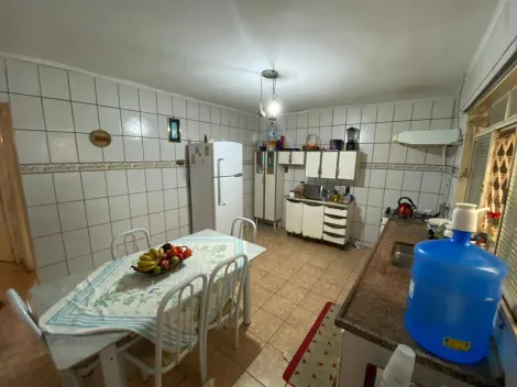 Alugar Casa / Padr&atilde;o em S&atilde;o Jos&eacute; do Rio Preto R$ 800,00 - Foto 5