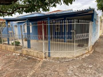 Alugar Casa / Padr&atilde;o em S&atilde;o Jos&eacute; do Rio Preto R$ 800,00 - Foto 15