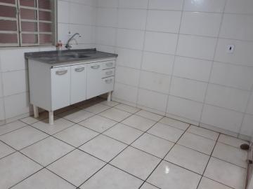 Alugar Casa / Padr&atilde;o em S&atilde;o Jos&eacute; do Rio Preto R$ 900,00 - Foto 5