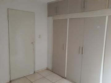 Alugar Casa / Padr&atilde;o em S&atilde;o Jos&eacute; do Rio Preto R$ 900,00 - Foto 11
