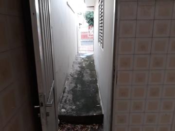 Alugar Casa / Padr&atilde;o em S&atilde;o Jos&eacute; do Rio Preto R$ 900,00 - Foto 8