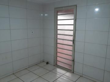 Alugar Casa / Padr&atilde;o em S&atilde;o Jos&eacute; do Rio Preto R$ 900,00 - Foto 10