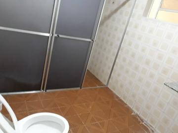 Alugar Casa / Padr&atilde;o em S&atilde;o Jos&eacute; do Rio Preto R$ 900,00 - Foto 13