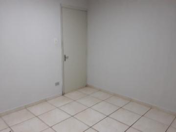 Alugar Casa / Padr&atilde;o em S&atilde;o Jos&eacute; do Rio Preto R$ 900,00 - Foto 14