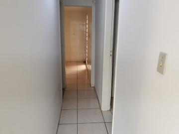 Alugar Casa / Padr&atilde;o em S&atilde;o Jos&eacute; do Rio Preto R$ 900,00 - Foto 15