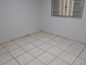 Alugar Casa / Padr&atilde;o em S&atilde;o Jos&eacute; do Rio Preto R$ 900,00 - Foto 16