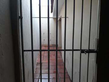 Alugar Casa / Padr&atilde;o em S&atilde;o Jos&eacute; do Rio Preto R$ 900,00 - Foto 20