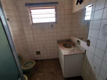 Alugar Apartamento / Padr&atilde;o em S&atilde;o Jos&eacute; do Rio Preto R$ 1.100,00 - Foto 4