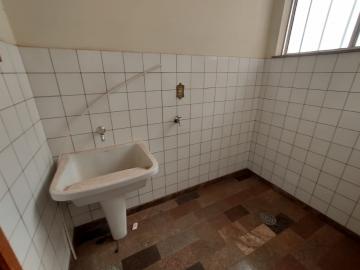 Alugar Apartamento / Padr&atilde;o em S&atilde;o Jos&eacute; do Rio Preto R$ 1.100,00 - Foto 6