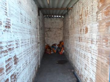 Comercial / Sal&atilde;o em S&atilde;o Jos&eacute; do Rio Preto 