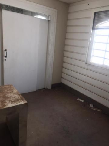 Alugar Comercial / Casa Comercial em S&atilde;o Jos&eacute; do Rio Preto R$ 1.100,00 - Foto 4