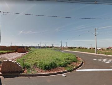Terreno / Padr&atilde;o em S&atilde;o Jos&eacute; do Rio Preto 