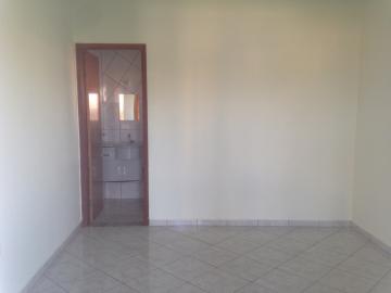 Alugar Casa / Sobrado em S&atilde;o Jos&eacute; do Rio Preto R$ 2.500,00 - Foto 14