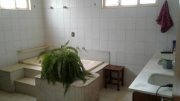 Comprar Casa / Padr&atilde;o em S&atilde;o Jos&eacute; do Rio Preto R$ 2.500.000,00 - Foto 31