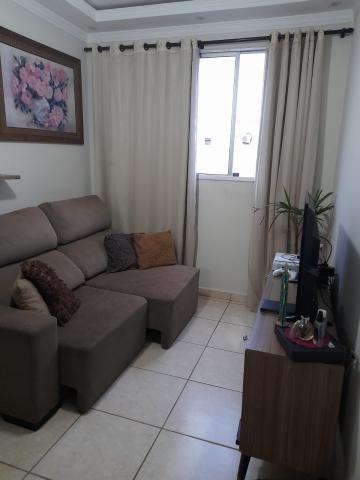 Comprar Apartamento / Padr&atilde;o em S&atilde;o Jos&eacute; do Rio Preto R$ 160.000,00 - Foto 4