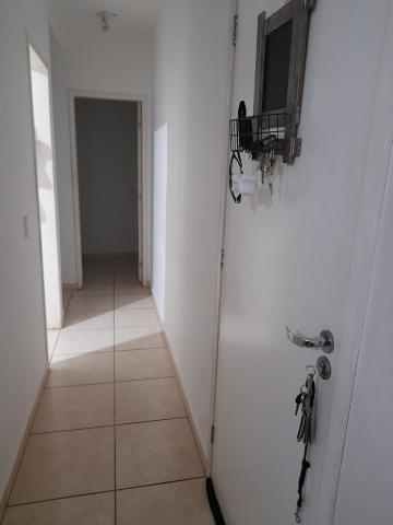 Comprar Apartamento / Padr&atilde;o em S&atilde;o Jos&eacute; do Rio Preto R$ 160.000,00 - Foto 5