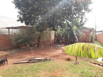 Comprar Rural / Ch&aacute;cara em S&atilde;o Jos&eacute; do Rio Preto R$ 160.000,00 - Foto 8