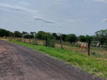 Comprar Terreno / Padr&atilde;o em Bady Bassitt R$ 1.500.000,00 - Foto 3