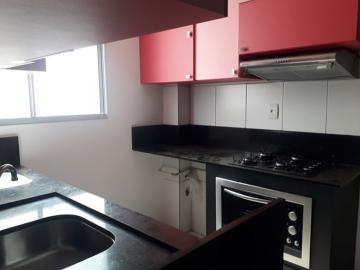 Alugar Apartamento / Padr&atilde;o em S&atilde;o Jos&eacute; do Rio Preto R$ 820,00 - Foto 4