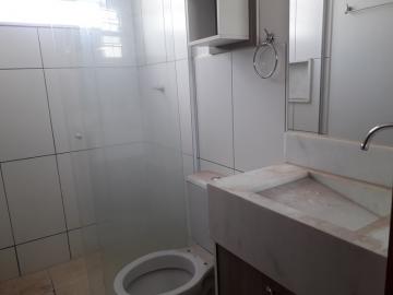 Alugar Apartamento / Padr&atilde;o em S&atilde;o Jos&eacute; do Rio Preto R$ 820,00 - Foto 10