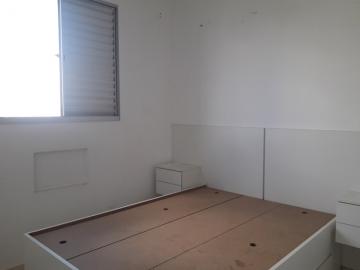 Alugar Apartamento / Padr&atilde;o em S&atilde;o Jos&eacute; do Rio Preto R$ 820,00 - Foto 8