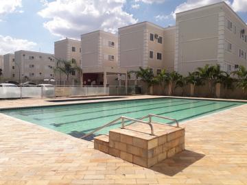 Alugar Apartamento / Padr&atilde;o em S&atilde;o Jos&eacute; do Rio Preto R$ 820,00 - Foto 11