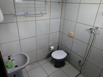 Alugar Comercial / Sala em S&atilde;o Jos&eacute; do Rio Preto R$ 500,00 - Foto 7