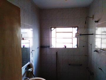 Alugar Casa / Padr&atilde;o em S&atilde;o Jos&eacute; do Rio Preto R$ 1.550,00 - Foto 10
