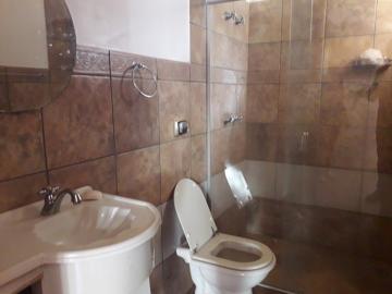 Alugar Casa / Padr&atilde;o em Cedral R$ 5.000,00 - Foto 13