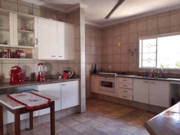 Alugar Casa / Padr&atilde;o em Cedral R$ 5.000,00 - Foto 5