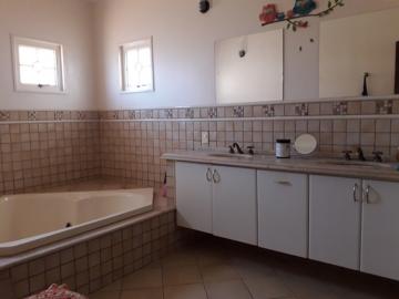 Alugar Casa / Padr&atilde;o em Cedral R$ 5.000,00 - Foto 15